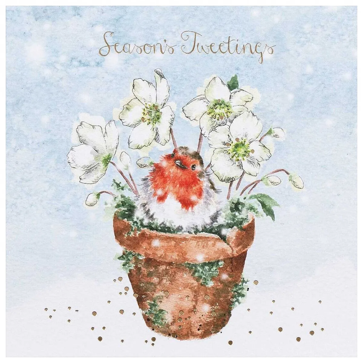 'season's Tweetings' Set Of 8 Luxury Gold Foiled Christmas Cards>Wrendale Discount