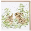 'spring Hares' Hare Greetings Card>Wrendale Best