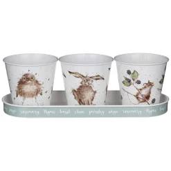 The Country Set Herb Pots And Tray>Wrendale Fashion