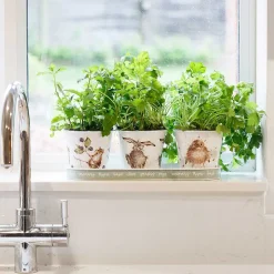 The Country Set Herb Pots And Tray><noscript><img width=