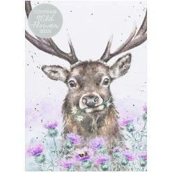 'Thistle Make You Smile' Stag Seed Card><noscript><img width=