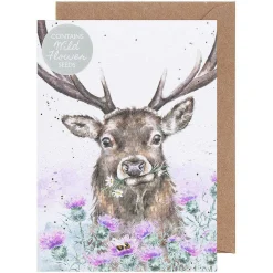 'Thistle Make You Smile' Stag Seed Card><noscript><img width=