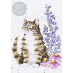 'Whiskers And Wild Flowers' Cat Seed Card>Wrendale Best