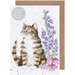 'Whiskers And Wild Flowers' Cat Seed Card><noscript><img width=