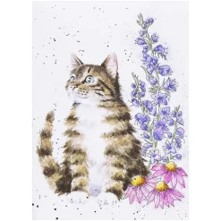'Whiskers And Wild Flowers' Cat Seed Card><noscript><img width=