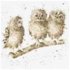 'You First' Owl Greetings Card>Wrendale Cheap