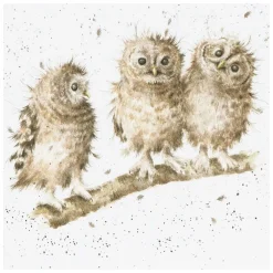 'You First' Owl Greetings Card>Wrendale Cheap