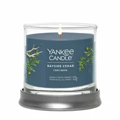 Bayside Cedar Signature Small Tumbler Candle>Yankee Candle Cheap
