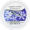 Midnight Jasmine Scenterpiece Melt Cup>Yankee Candle Best Sale
