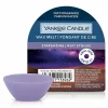 Stargazing Wax Melt>Yankee Candle Fashion