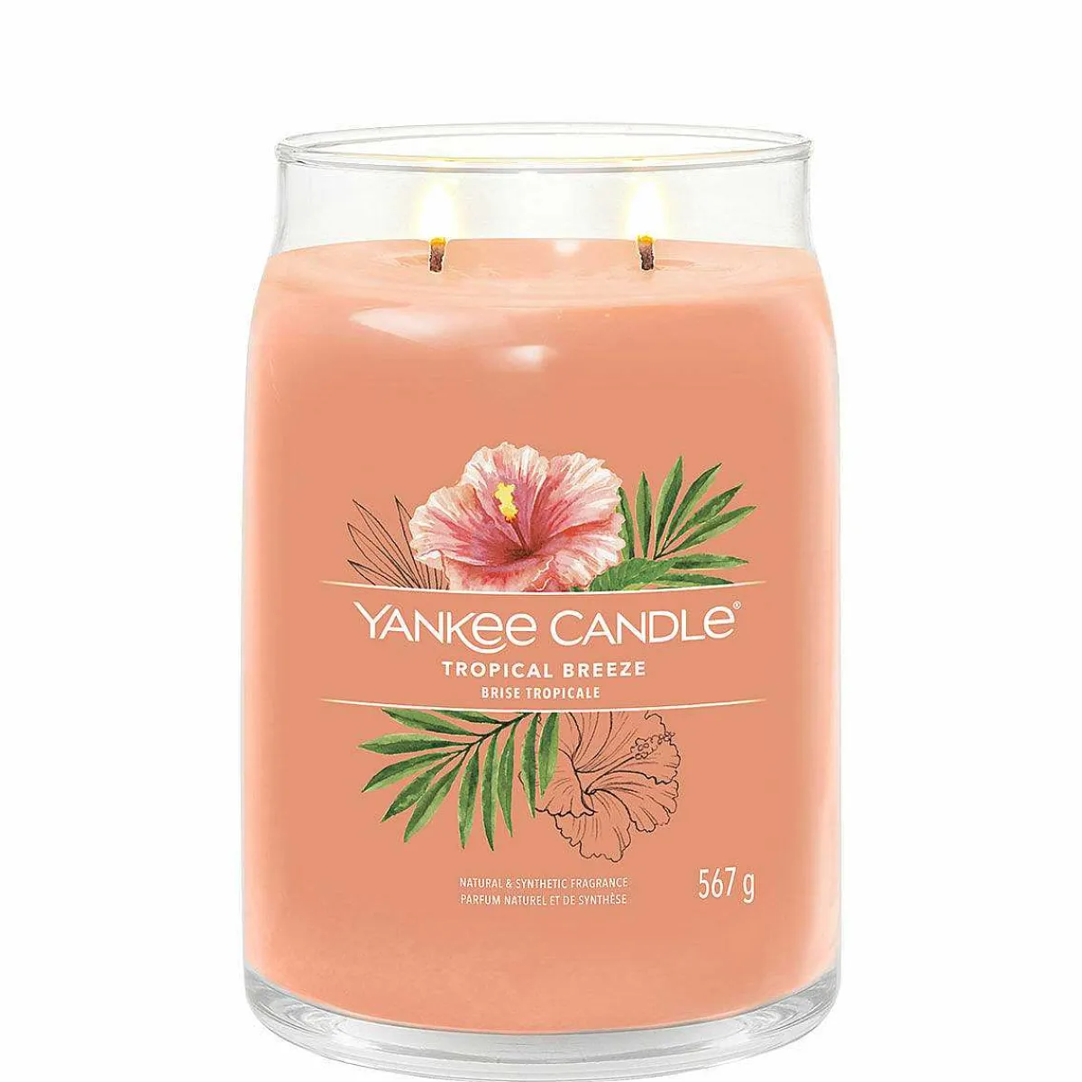 Tropical Breeze Signature Large Jar Candle>Yankee Candle Cheap