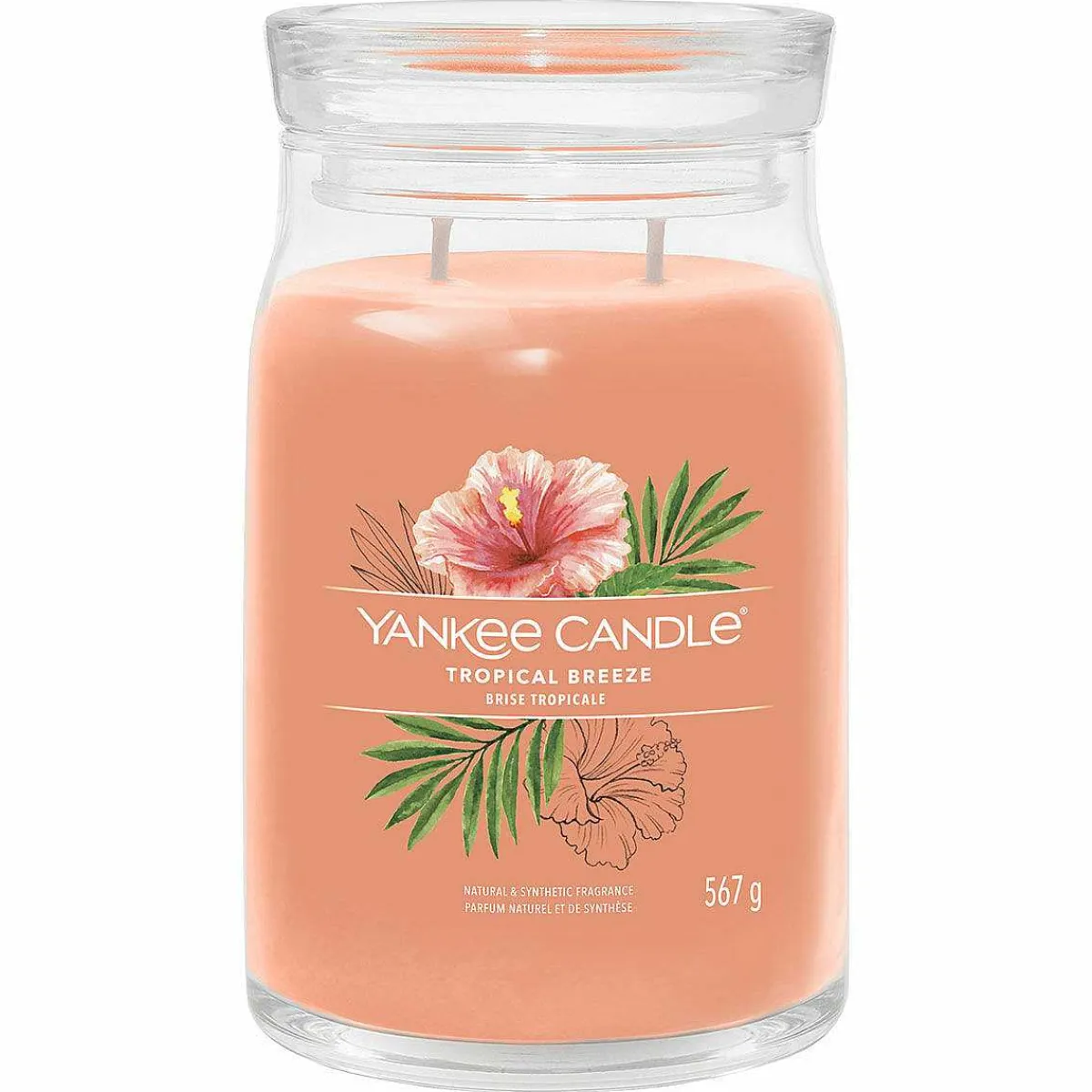 Tropical Breeze Signature Large Jar Candle>Yankee Candle Cheap